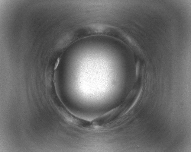 X0000082750509200701261511