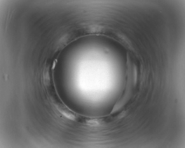 X0000082750516200701261510