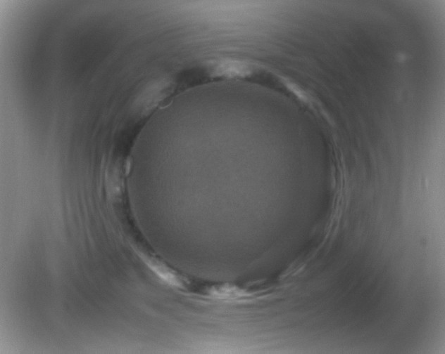 X0000082750517200701261510