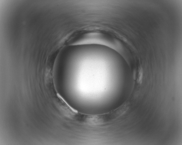 X0000082750521200701261510