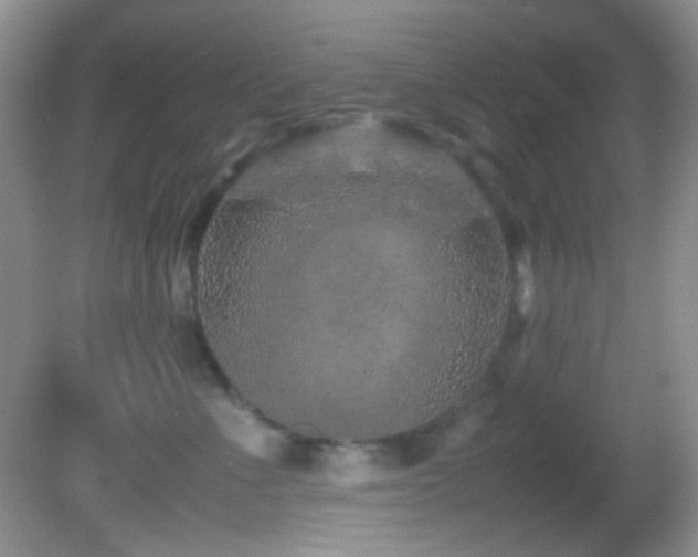 X0000082750523200701261510