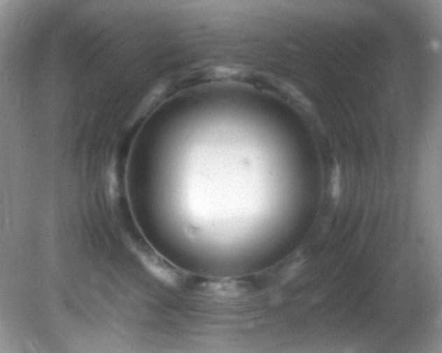 X0000082750524200701261510