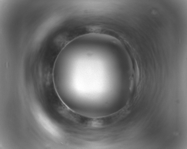 X0000082750525200701261510