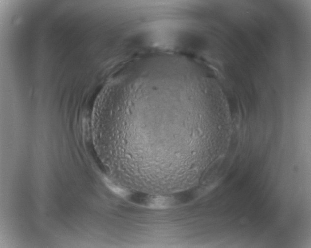 X0000082750527200701261510