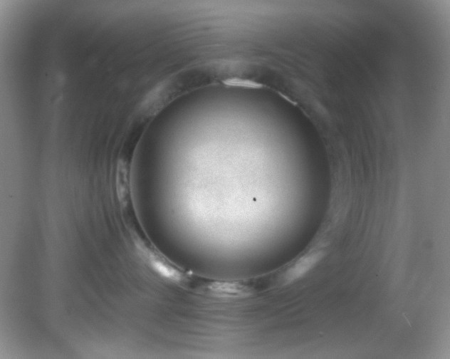 X0000082750528200701261510