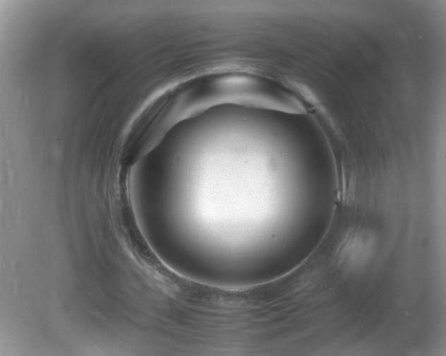 X0000082750531200701261509