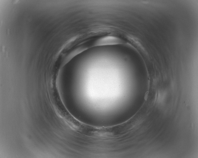 X0000082750539200701261510