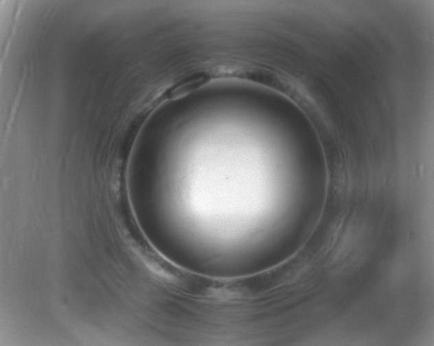 X0000082750545200701261510