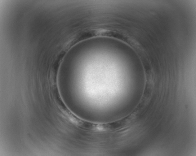 X0000082750565200701261510