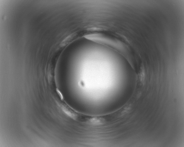 X0000082750566200701261510