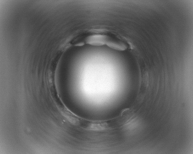 X0000082750571200701261510