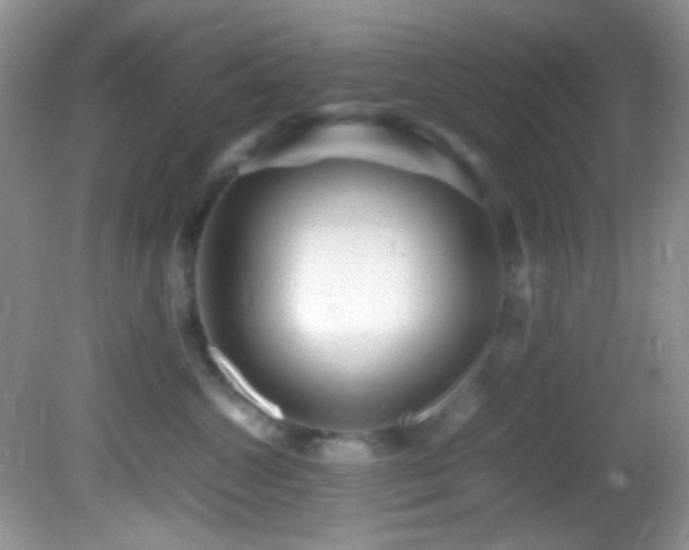 X0000082750572200701261510