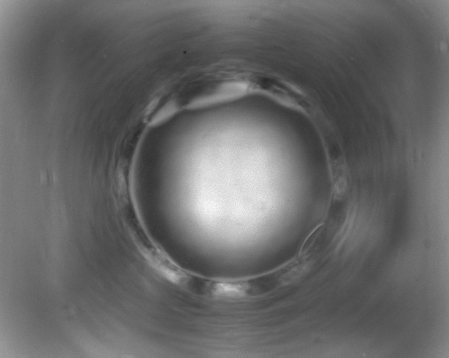 X0000082750573200701261510