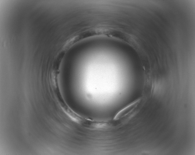 X0000082750575200701261510