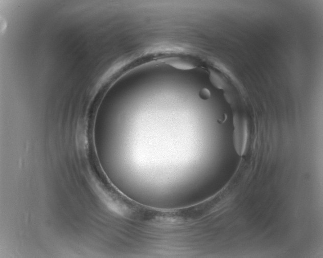 X0000082750582200701261509
