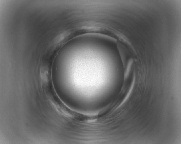 X0000082750596200701261509