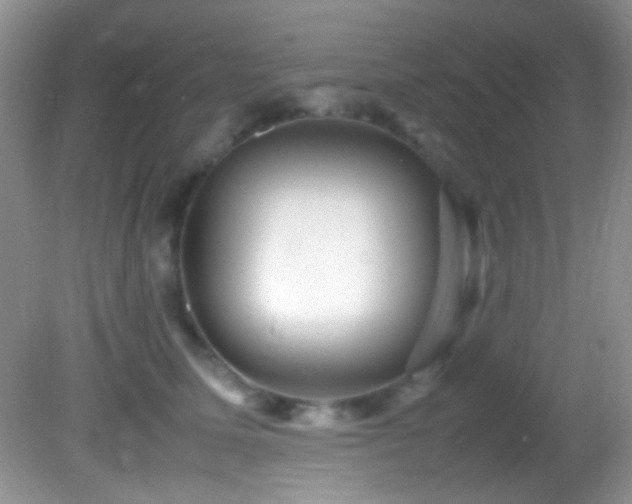X0000082750611200701261509