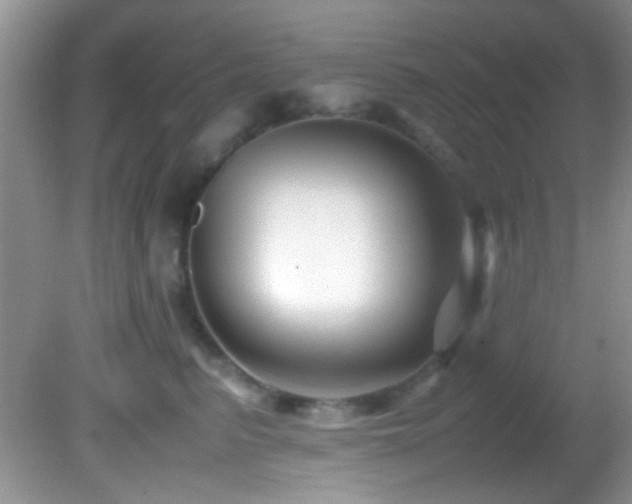 X0000082750615200701261509