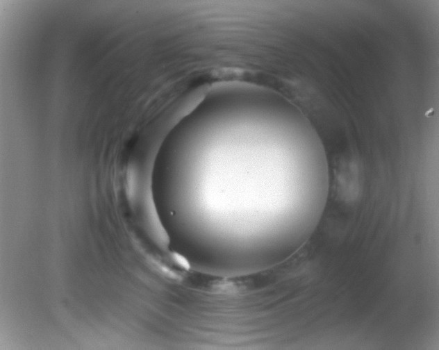 X0000082750616200701261509