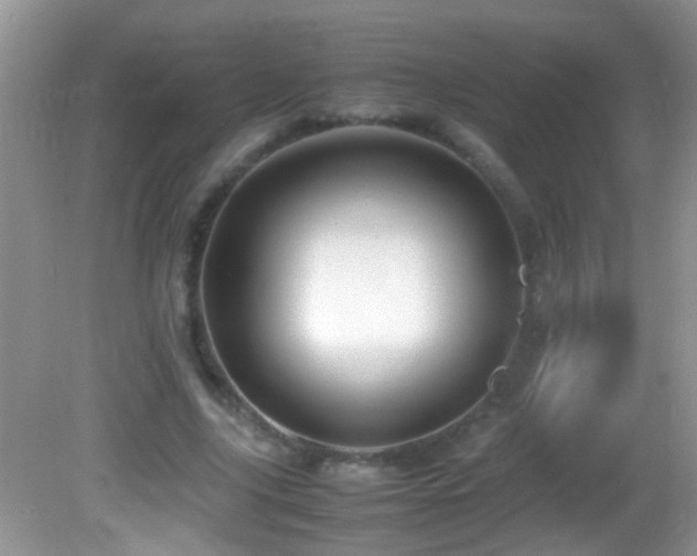 X0000082750635200701261508