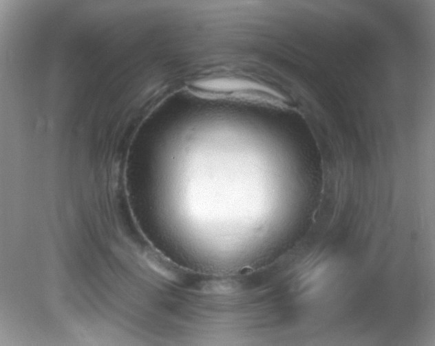 X0000082750652200701261508