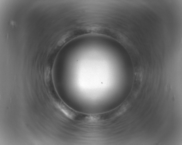 X0000082750660200701261508