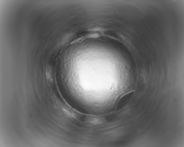 X0000082750663200701261508