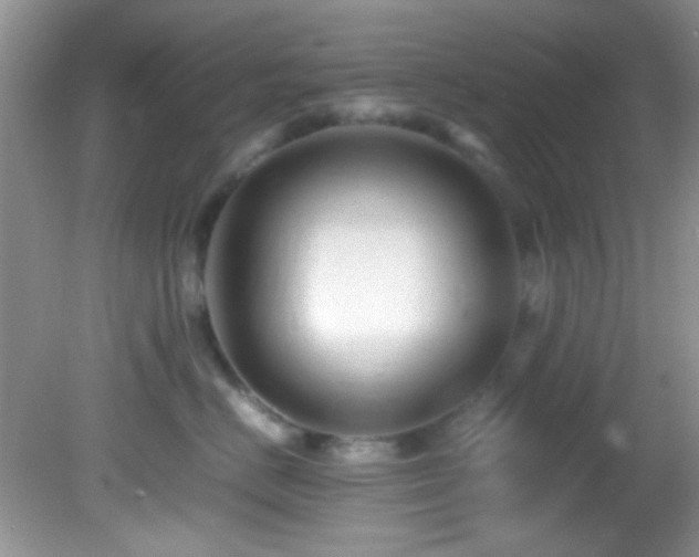 X0000082750670200701261509