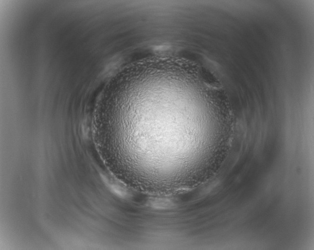 X0000082750671200701261509