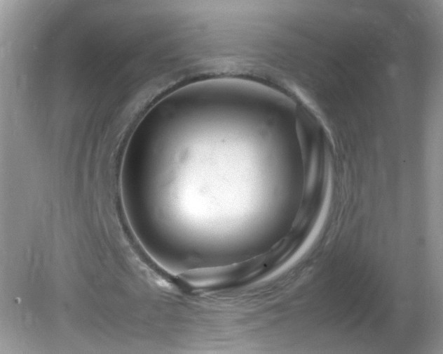 X0000082750673200701261508
