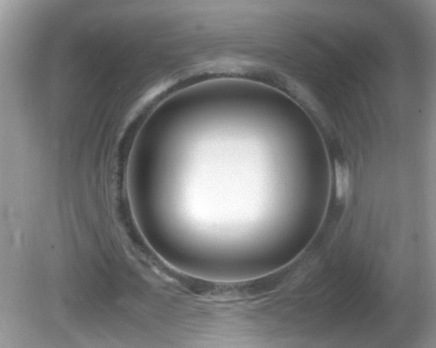 X0000082750675200701261508