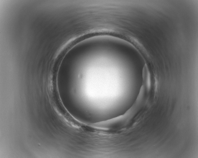 X0000082750676200701261508