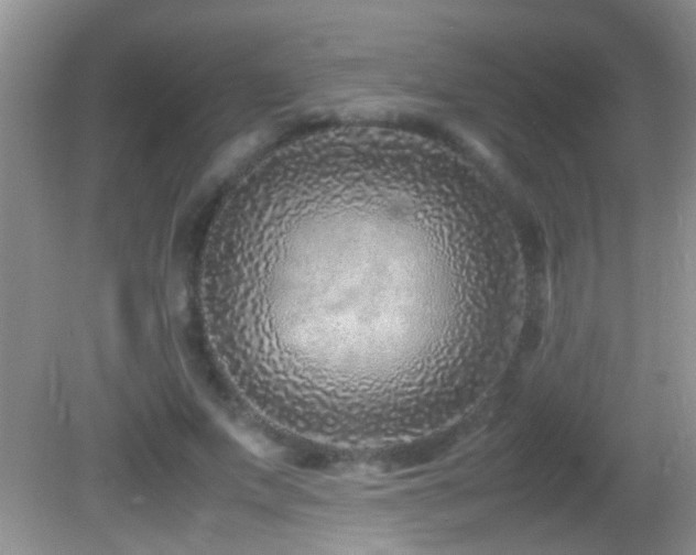 X0000082750687200701261508