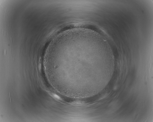 X0000082750691200701261507
