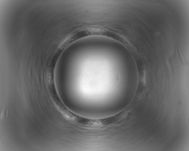 X0000082750715200701261507