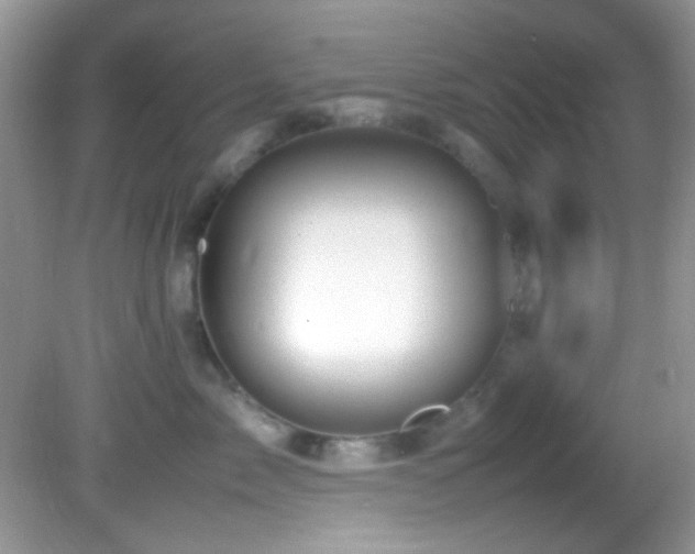 X0000082750717200701261507