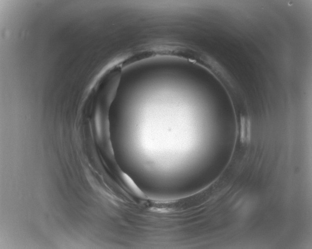 X0000082750723200701261506