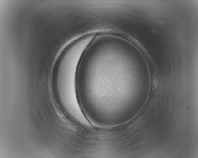 X0000082750724200701261506