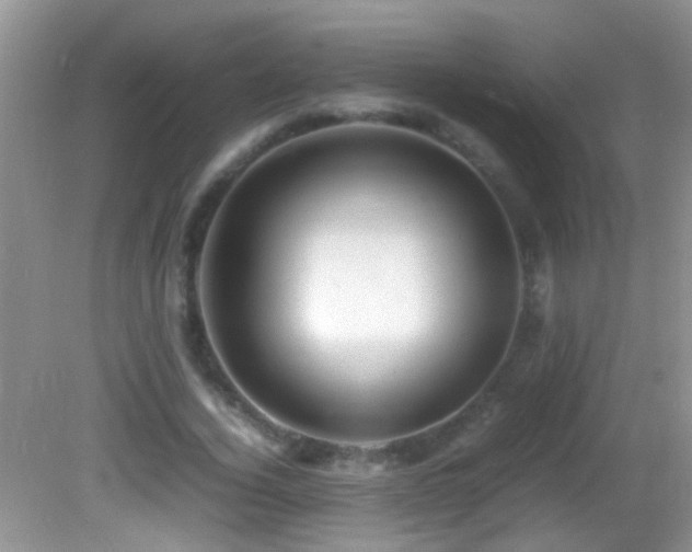 X0000082750732200701261506