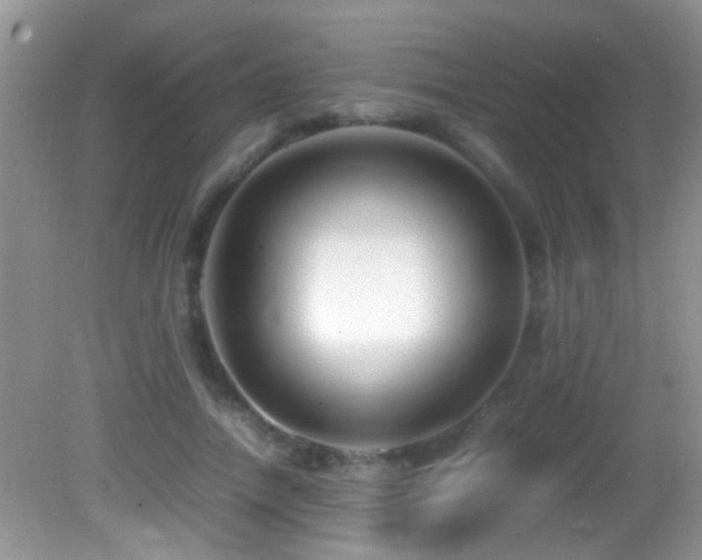 X0000082750738200701261506