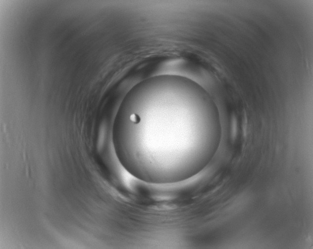 X0000082750750200701261507