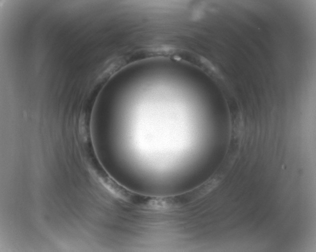 X0000082750764200701261507