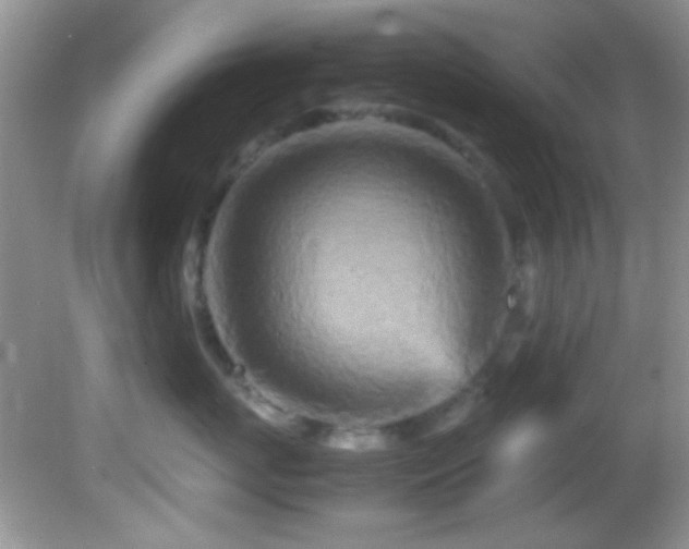 X0000082750767200701261507