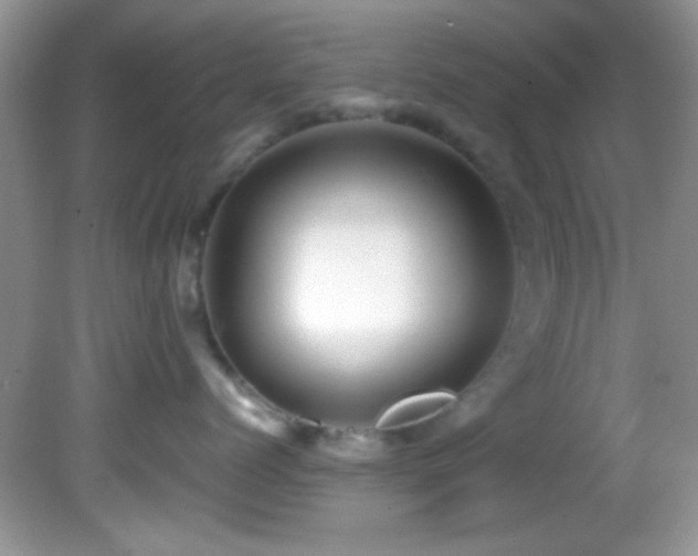X0000082750768200701261507