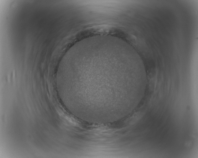 X0000082750769200701261506
