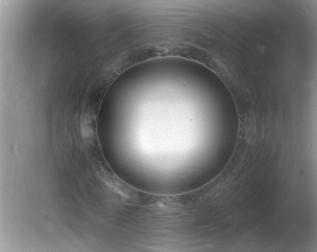 X0000082750770200701261506