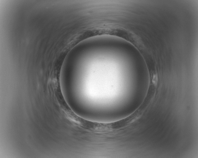 X0000082750771200701261506