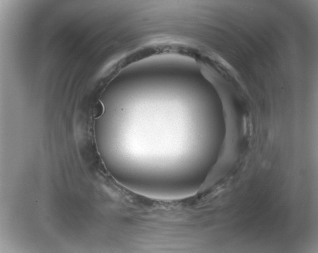 X0000082750775200701261506