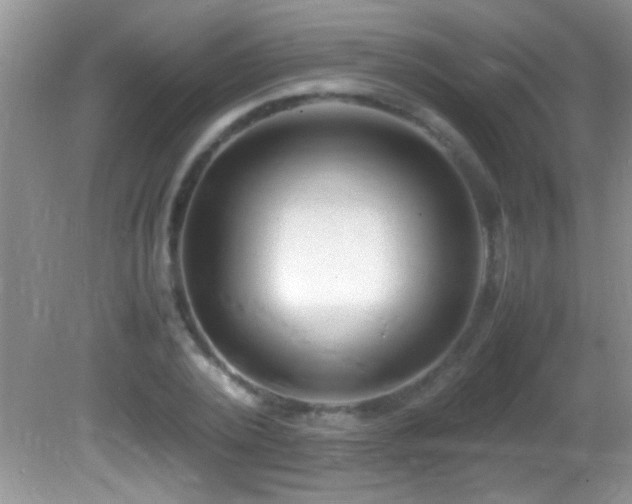 X0000082750784200701261506