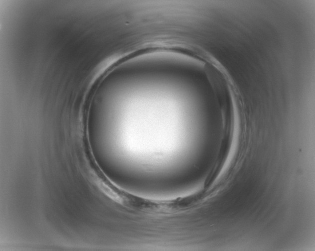 X0000082750787200701261506